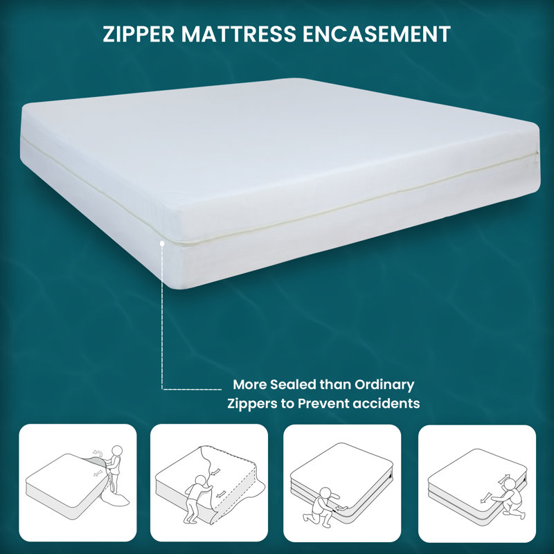 Zip Mattress Protector Case Pack, 30 cm, Single (3')
