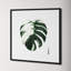 Variegated Monstera II by Grace Popp-2104103204-2104103205