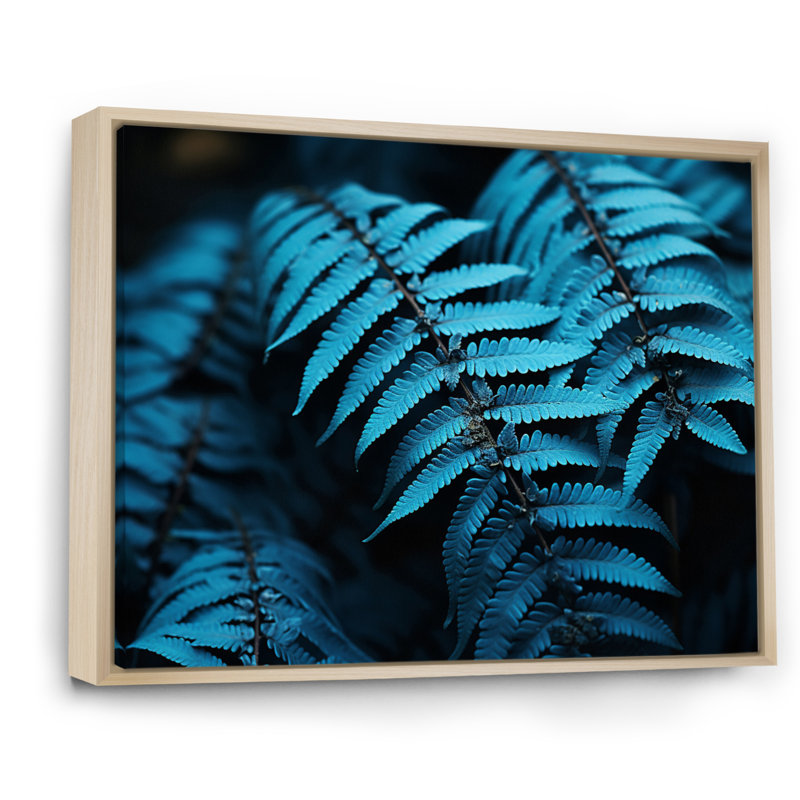 Ferns Turquoise Whimsy I - imprimé, H 12 po x l 20 po x P 1 po, Cadre naturel flottant