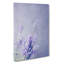 Pretty Purple Lavender - Wrapped Canvas-55322307