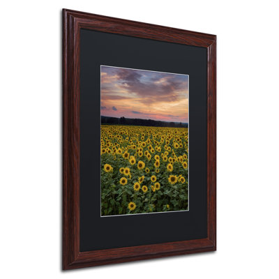 " Sunflowers " by Michael Blanchette