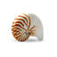 Handmade Animal Pompilius