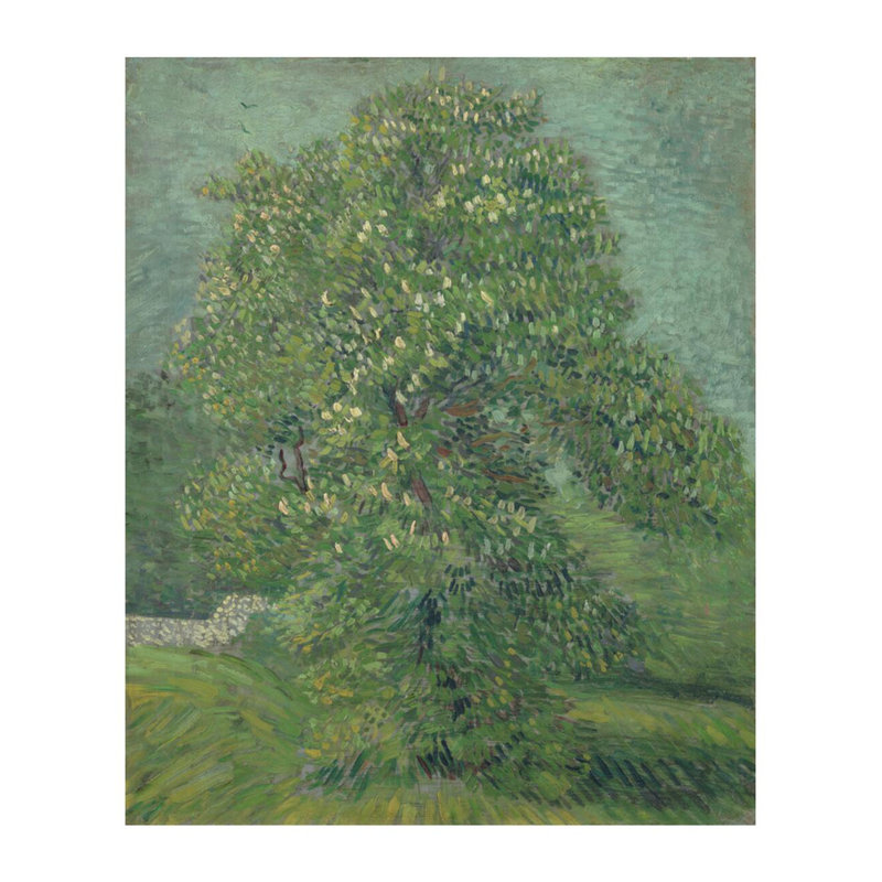 Cheval châtaignier en fleurs par Vincent van Gogh - Estampe numérique, H 28 po x l 22 po