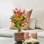 Tiges mixtes-21261369-87863270