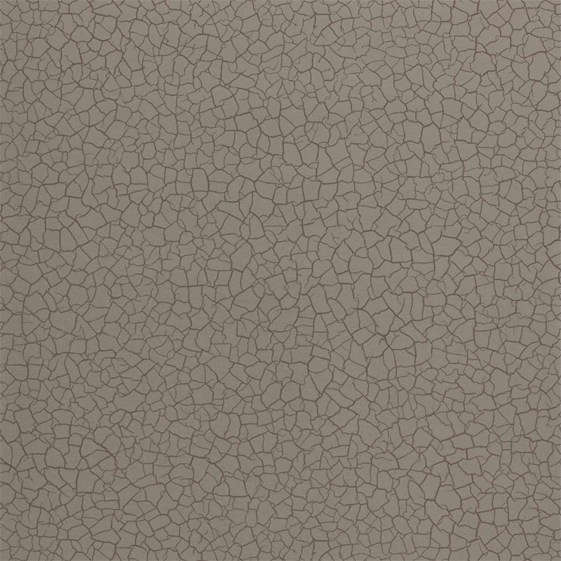 Cracked Earth