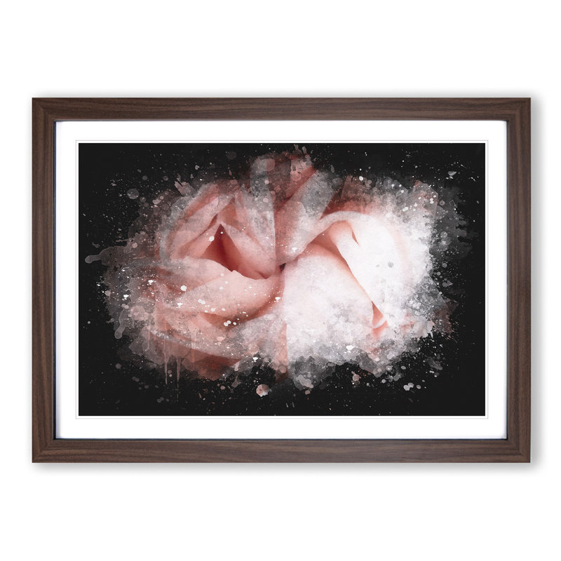 Petals of a Pink Carnation - Picture Frame Graphic Art Print, Walnut Framed, 33cm H x 45cm W x 2cm D