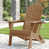 Teak