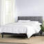 Cardington Upholstered Bed Frame with Square Tufted Headboard-1100401869