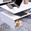 Umana Sled Coffee Table with Storage