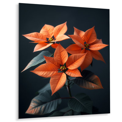 Nocturne Nirvana orange noir Poinsettias - Poinsettias Wall Art Living Room