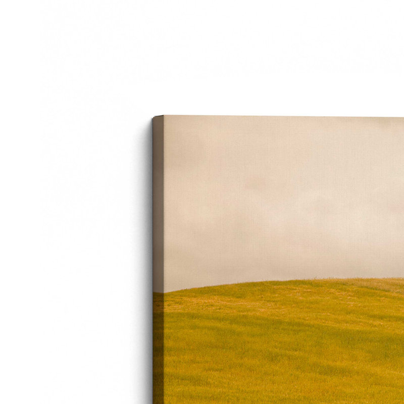Tuscan Fields' Charm, Large Canvas Print, 36" H x 54" W