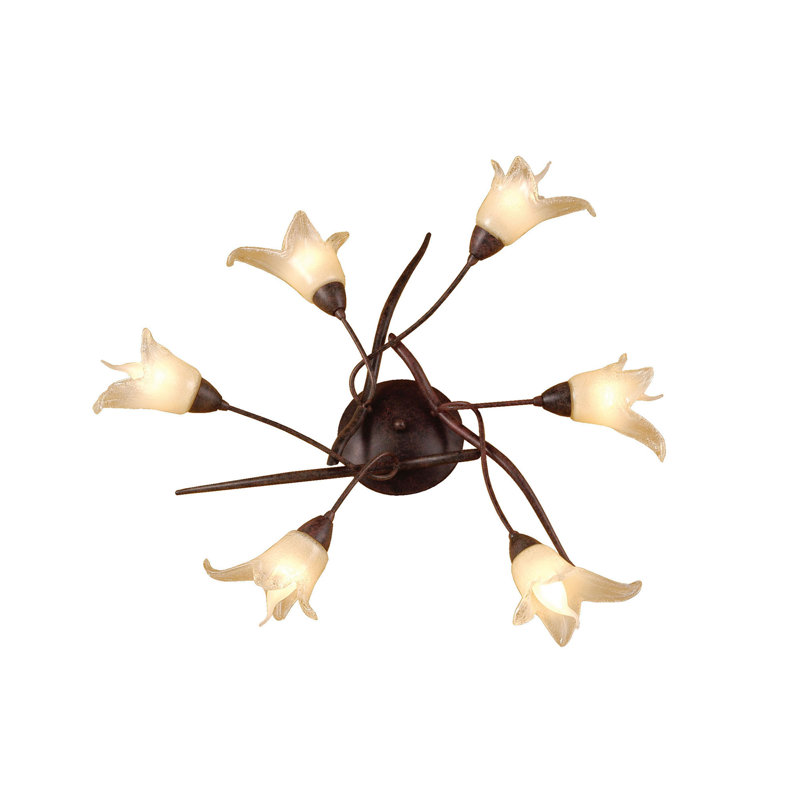 Knauss Glass Spotlight