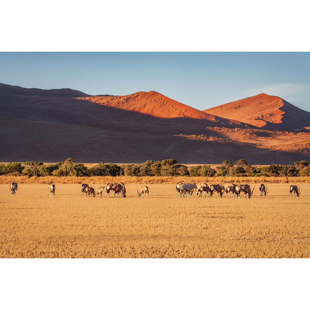 Namibia von Mlenny - Kunstdrucke auf Leinwand