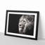 Portrait of a Proud Lion - Framed Print-56758479-56758482