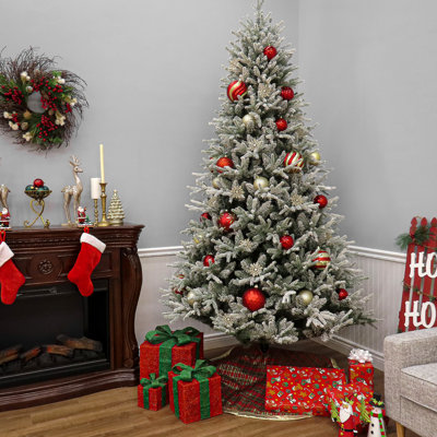 Arbre Holliston
