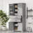 Storage Cabinet With Multi-Functional Storage Space, Doors With Storage Shelves, 2 Drawers, Adjustable Shelf-371984119