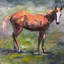FOAL - Unframed Print on Canvas-548888144-652941083