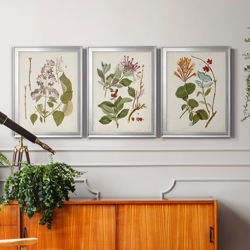 " Vintage Flowering Trees II " 3 - Pieces, 24" H x 18" W x 1" D, Silver Framed