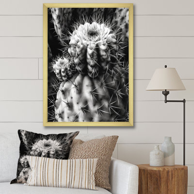 Nayonika Gray Desert Cactus II - reproduction sur toile