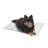 Outdoor Pet Bed Accessory-280999454
