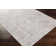 Shyann Gray Area Rug