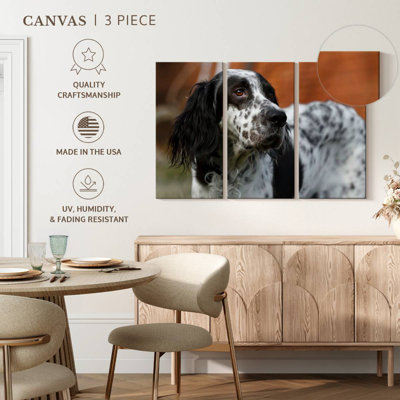 Spotted English Setter