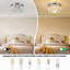 Crystal Flush mount Ceiling Light
