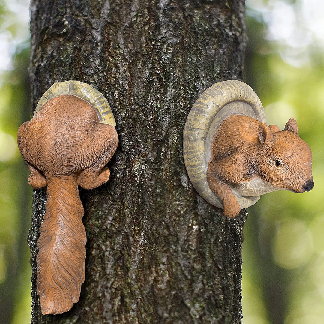 Squirrel Tree Peeker