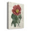 Peony Flower Garden I - Reproduction de dessin sur toile tendue-308392169