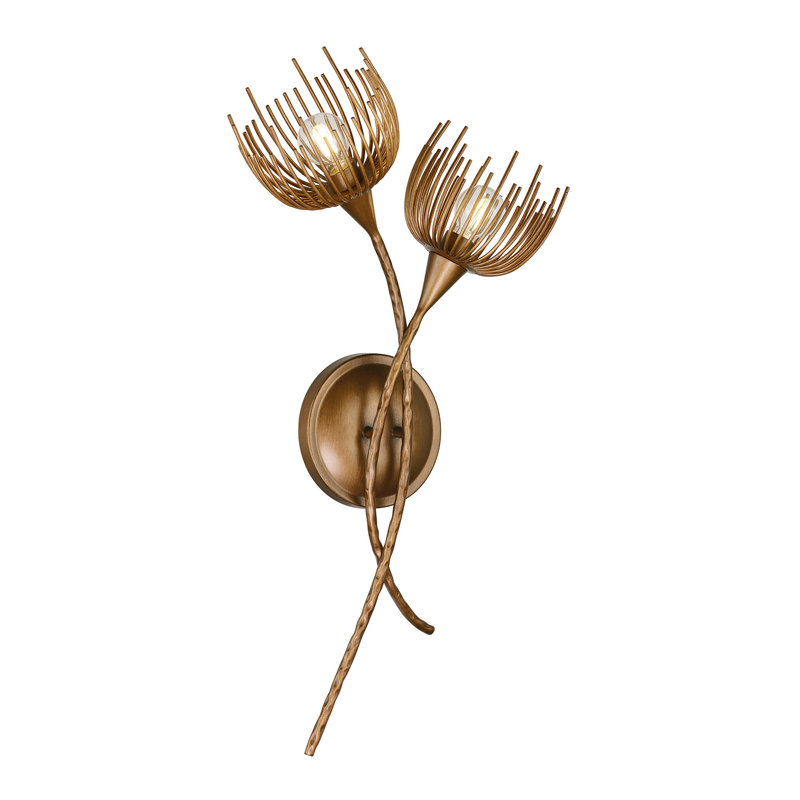 Protea 2-Light Wall Sconce in Manchester by Breegan Jane