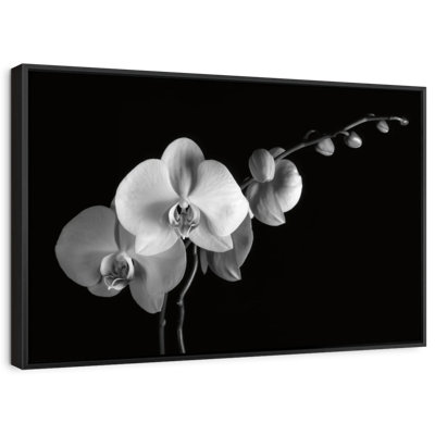 «Moth Orchids II», reproduction sur toile