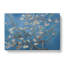 Almond Blossom Branches Vol.2 by Vincent Van Gogh - Wrapped Canvas Painting-61854376