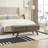 46.8'' Wide Rectangle Storage Ottoman Faux Leather Ottoman With Storage Bedroom Bench Upholstered Bench-1115855968