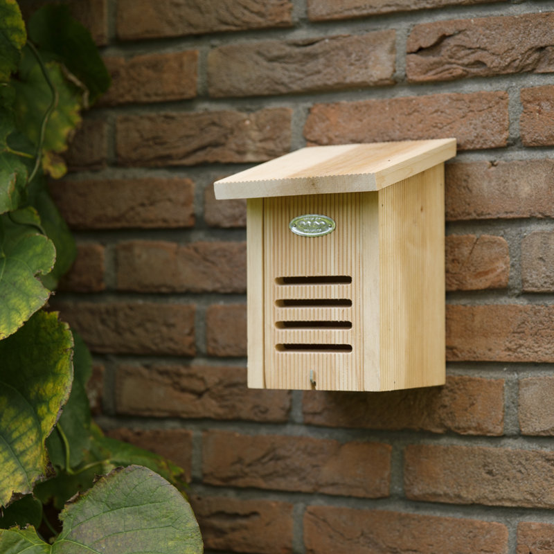 Ladybird House in Giftbox Fsc 100%