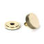 Brompton Single Dummy Door Knob-111910008