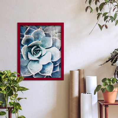 Pastel Succulent Beauty III, encadré sur papier