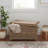 Whyte Wicker Trunk