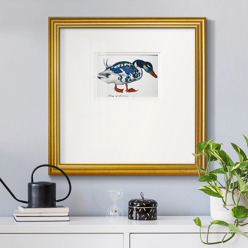 Colvert bleu - cadre photo unique, H 21 po x l 21 po x P 1,25 po