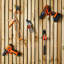 100 Piece Garage Tool Hook Set