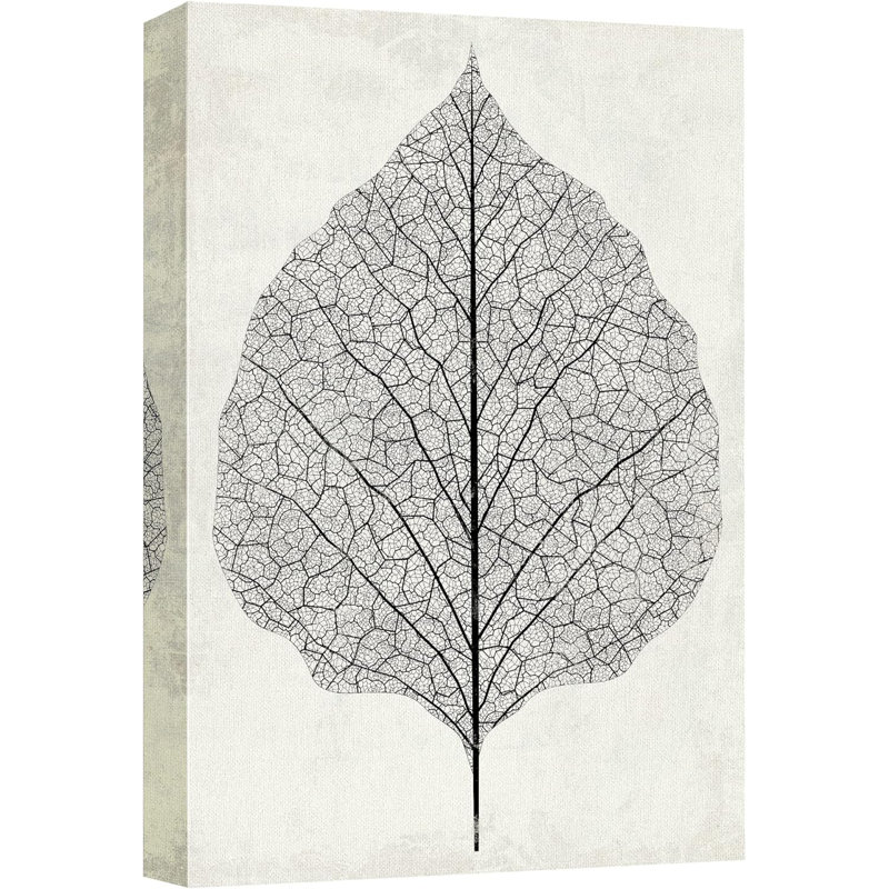 " Transparent Leaf Floral Botanicals "