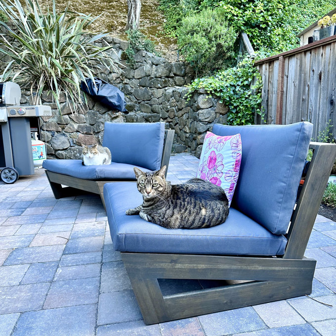 AllModern Louise Patio Chair with Cushions Reviews AllModern