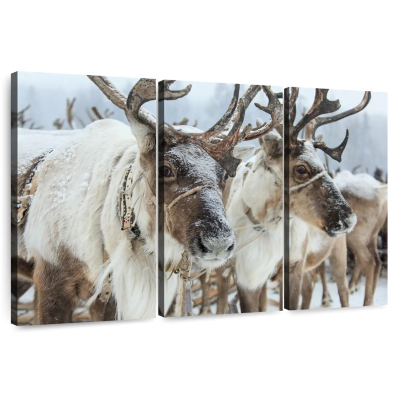 Renne des neiges Brampt, H 20 po x l 33 po