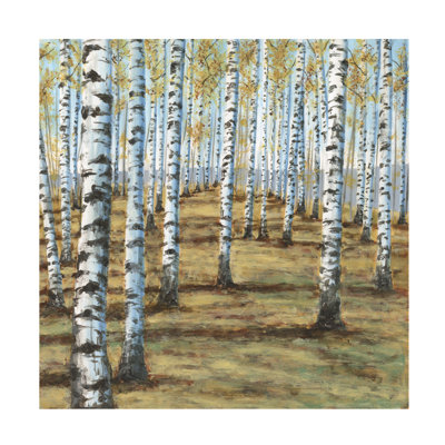 " Birch Hillside II "