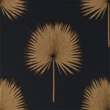 Fan Palm Wallpaper