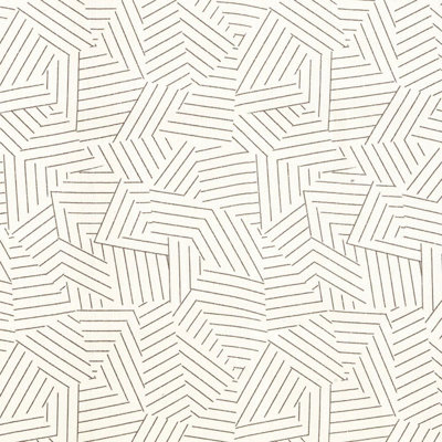 Schumacher x Miles Redd Deconstructed Stripe Fabric