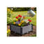 Planter Box