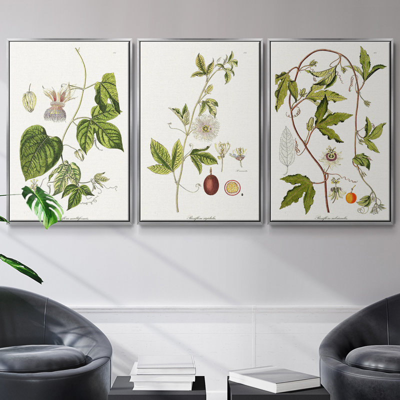 «Passion Flower Trio I», ensemble de 3 toiles encadrées, H 40 po x l 78 po, Argent