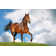 Horse In Field by Mari_Art - Wrapped Canvas Print