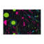 Tapis intérieur et extérieur Plasma Focus-202525018