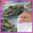 Polyester Duvet Cover-1196838433
